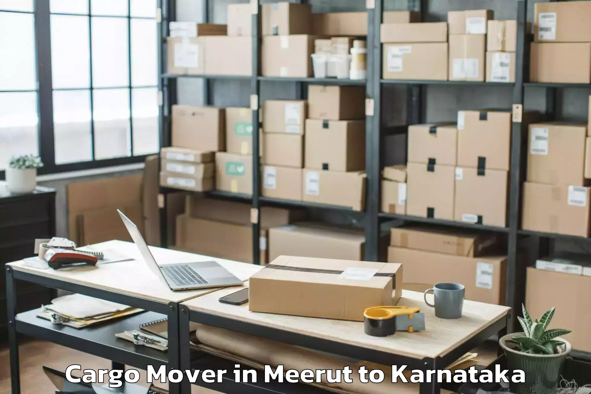 Affordable Meerut to Shiralakoppa Cargo Mover